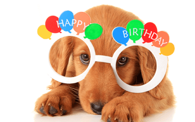 Birthday Celebrations!